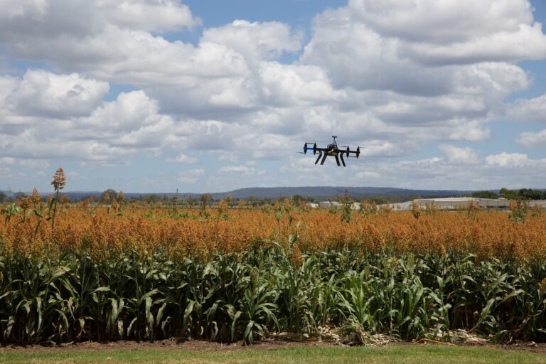 Progetto LIFE C-FARMs: a che punto siamo con il Carbon Farming in Italia