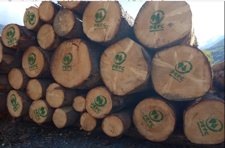 Legno ed energia, otto punti per una filiera sostenibile